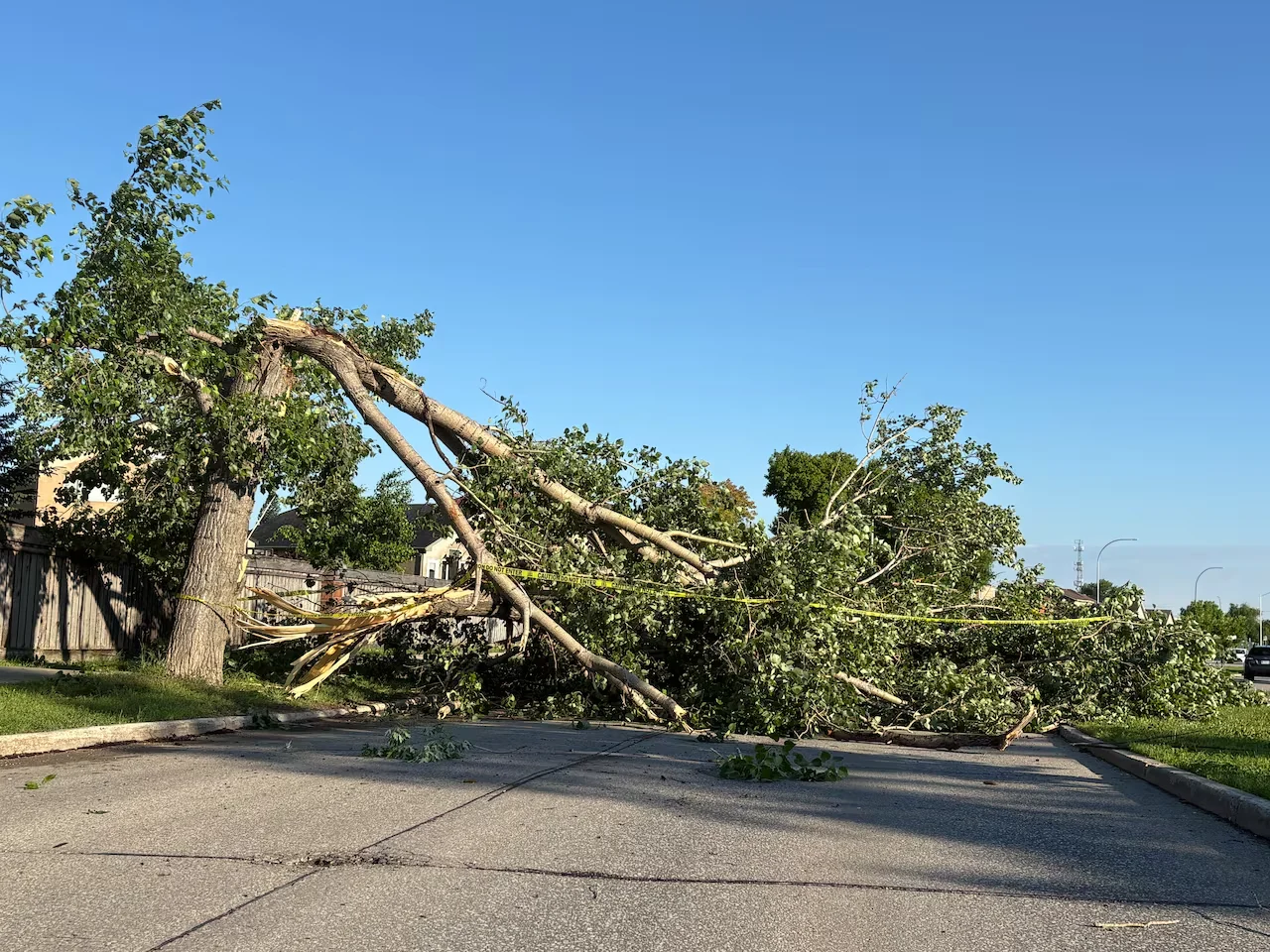 Manitoba, Storm, Wind, Winnipeg, Whyte Ridge, June 30, 2026. (Paul Pitura/CBC)