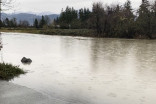 Delay in snowpack melt leads to growing flood fears in B.C.