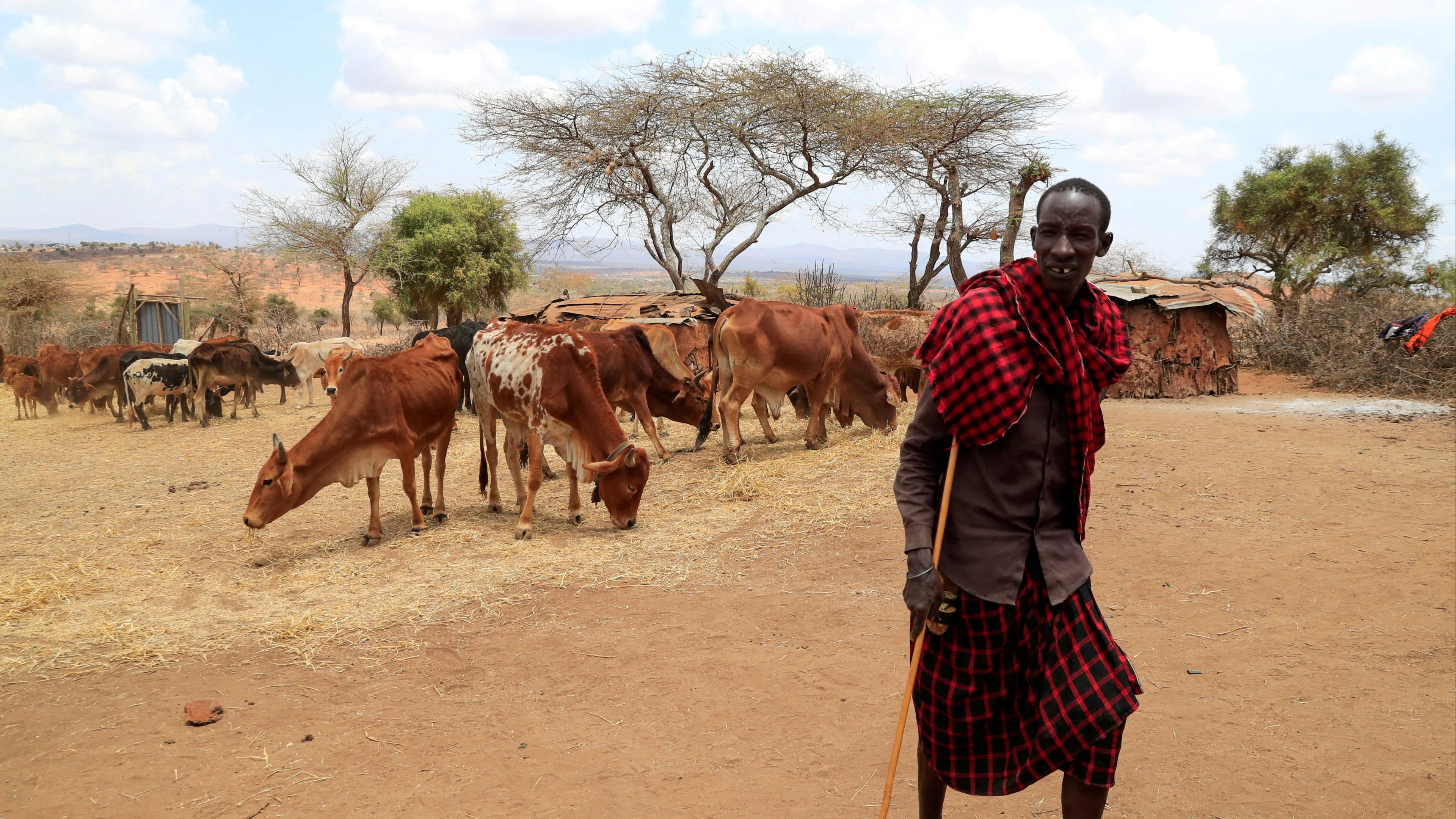 Horn of Africa drought not possible without climate change, finds study
