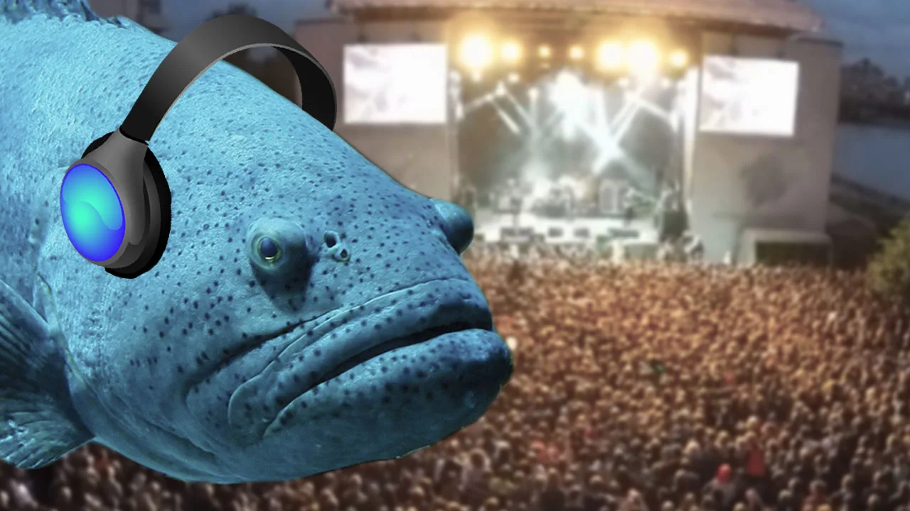 New study suggests music festivals can be stressful to fish
