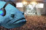 New study suggests music festivals can be stressful to fish