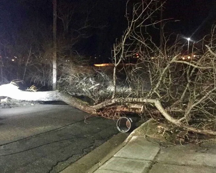 Damaging winds, snow blast parts of Atlantic Canada