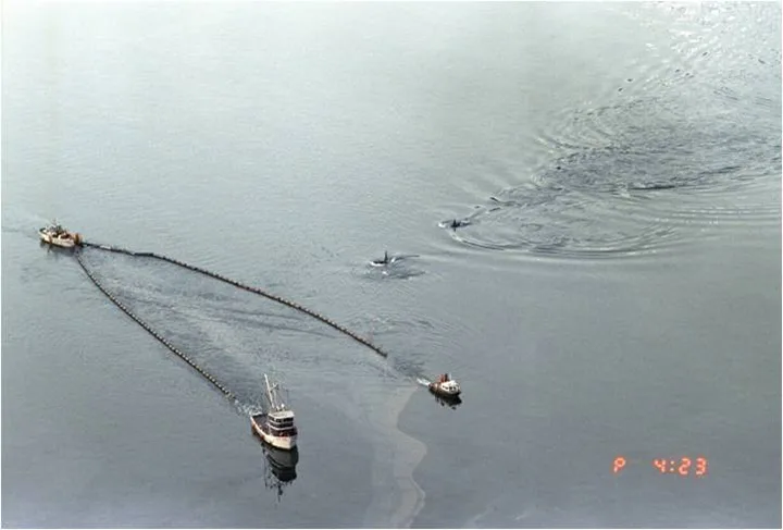 exxon-valdez-orcas-skimmers via-dan-lawn state alaska 720