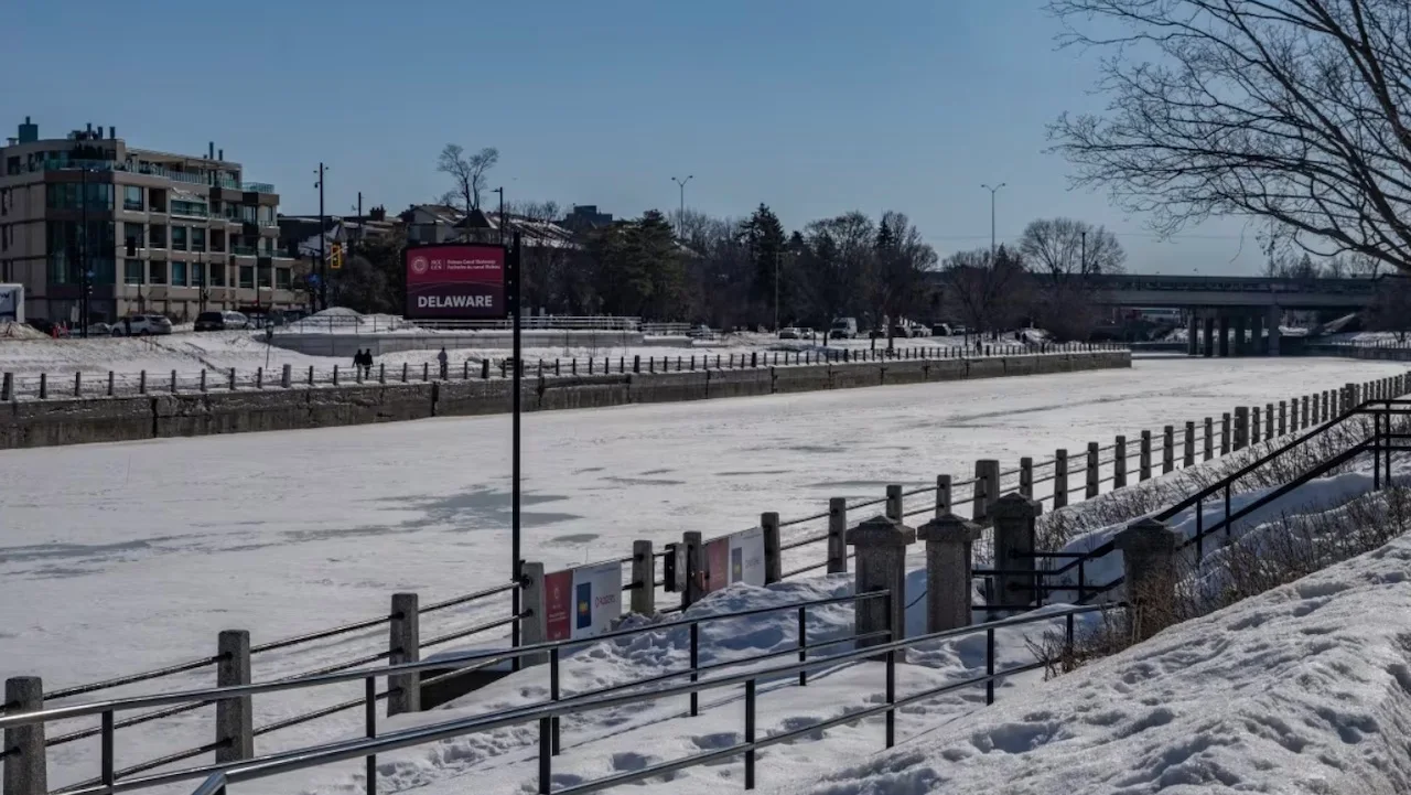 Puddles can be seen on the Rideau Canal Skateway/Mathieu Theriault/CBC