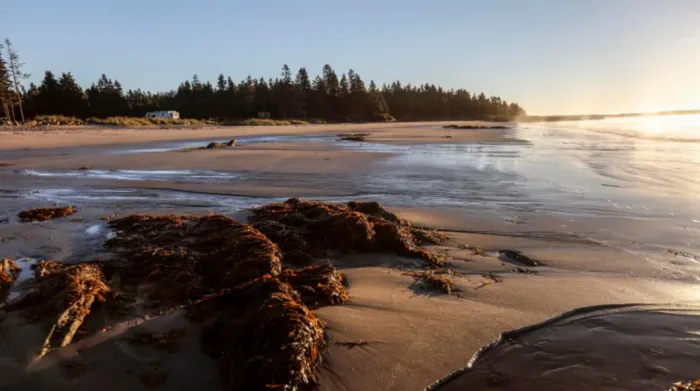 N.S. provincial parks see jump in local visitors, camp nights