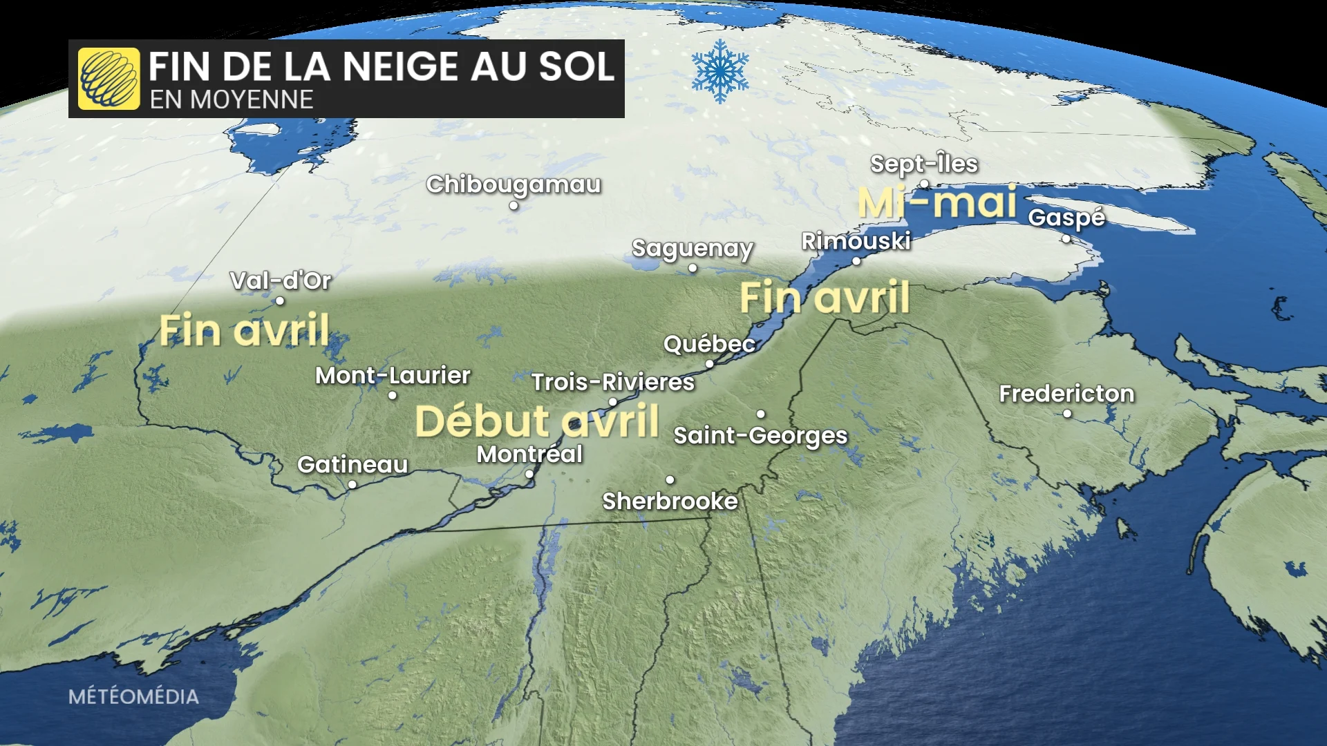 NEIGE4 (6)