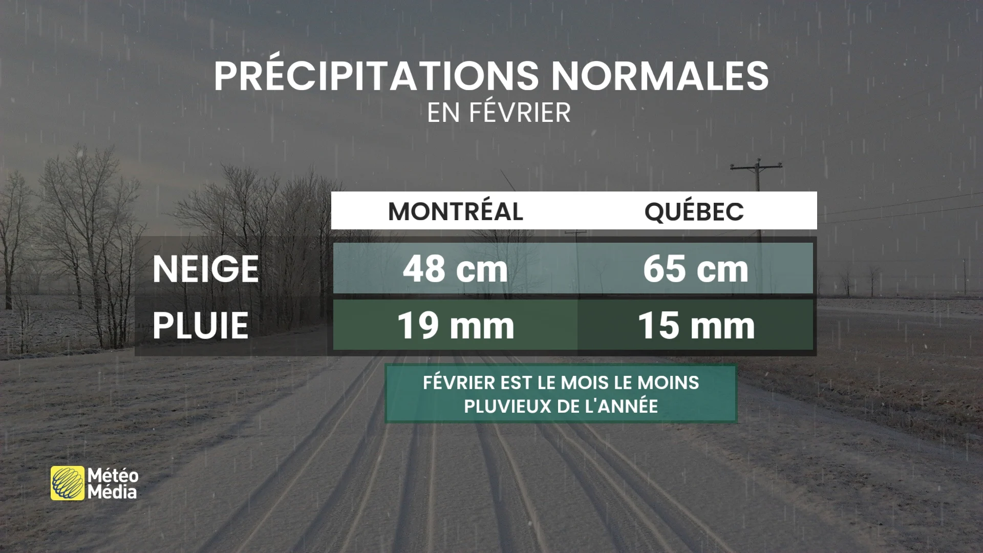 PLUIE 3