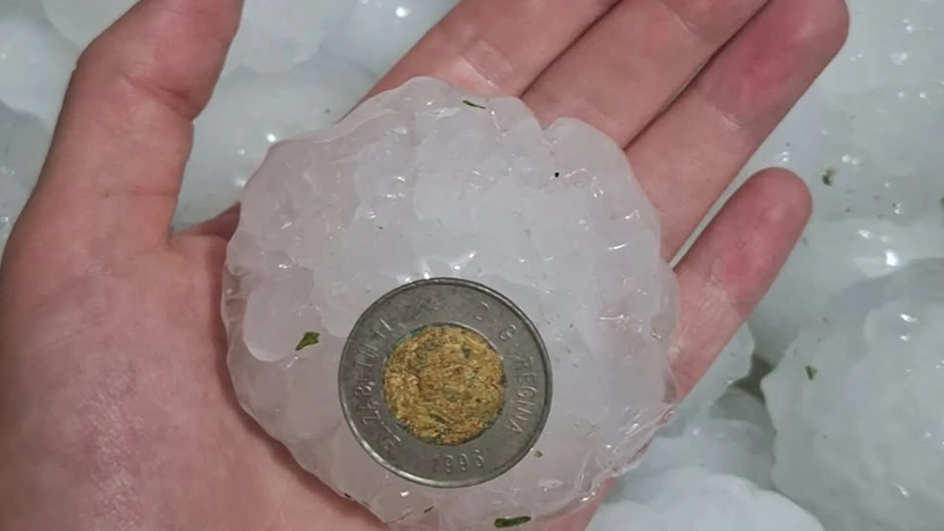 Andrew Vatour - Giant hailstone west of Edmonton - July 25
