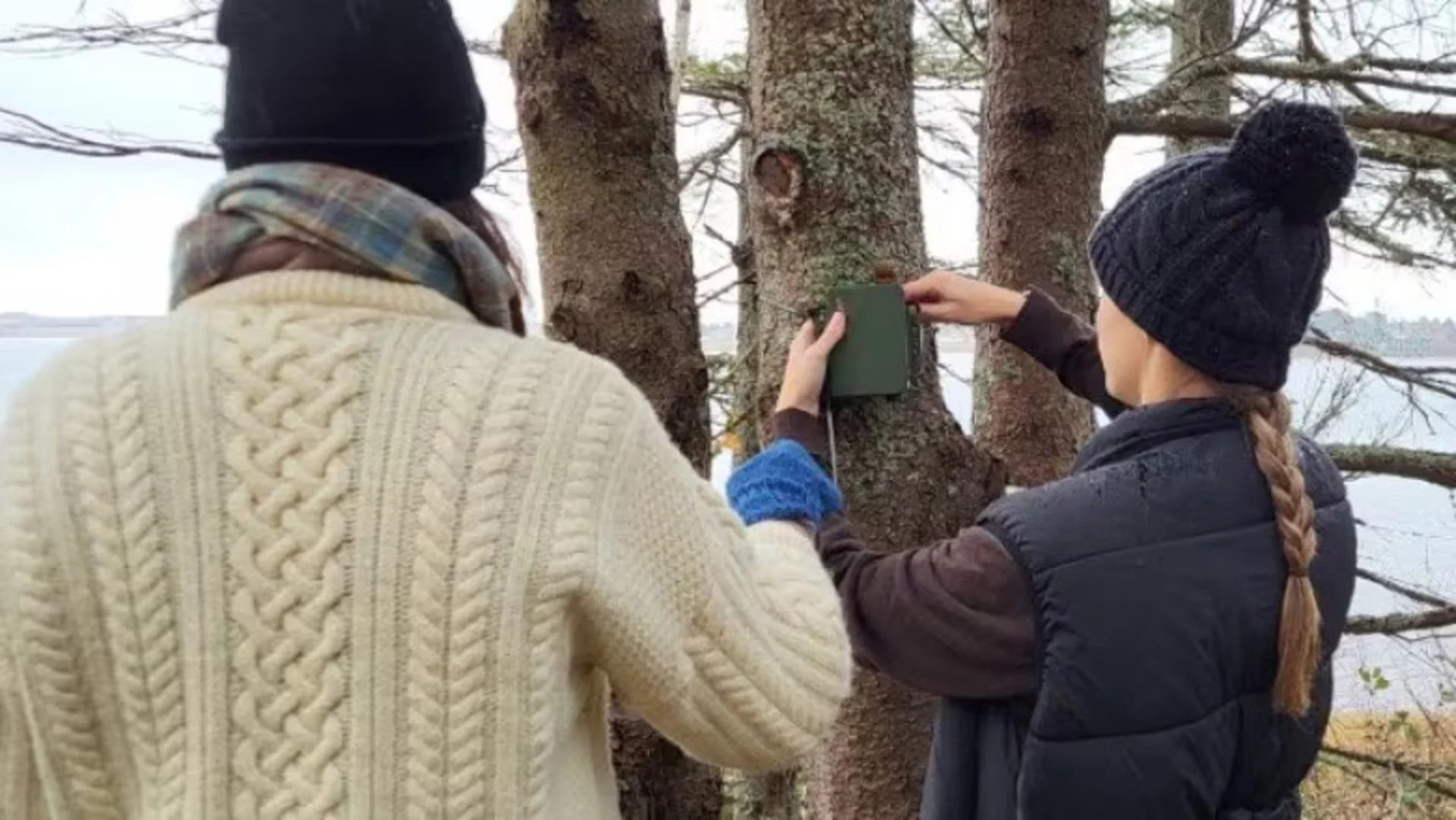 What does a birdsong say? P.E.I. watershed group listens and learns