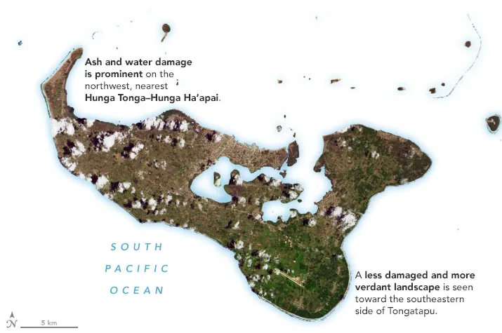 The southeastern side of Tongatapu was somewhat spared from the ashfall. (NASA)