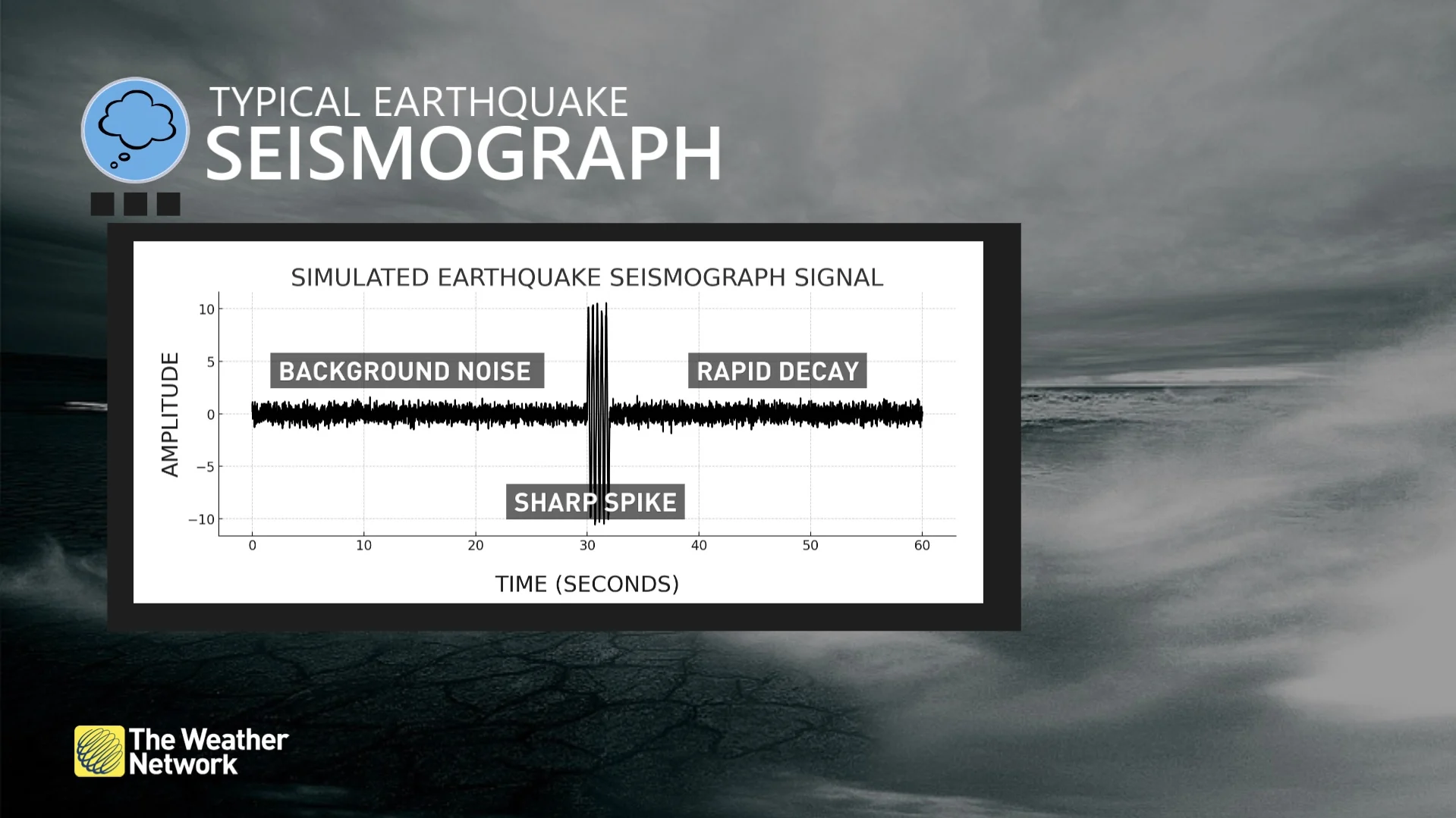 Typical earthquake seismograph 