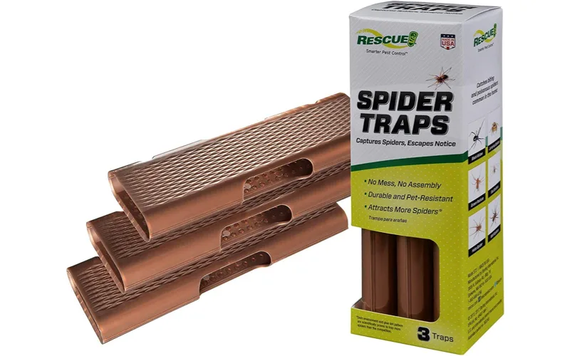 5 products to help keep spiders under control - The Weather Network