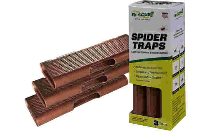 Other spider trap Amazon