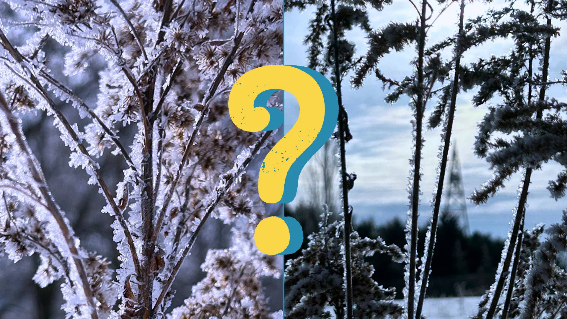 Hoar frost spotted in southwestern Ontario: What is it, exactly?