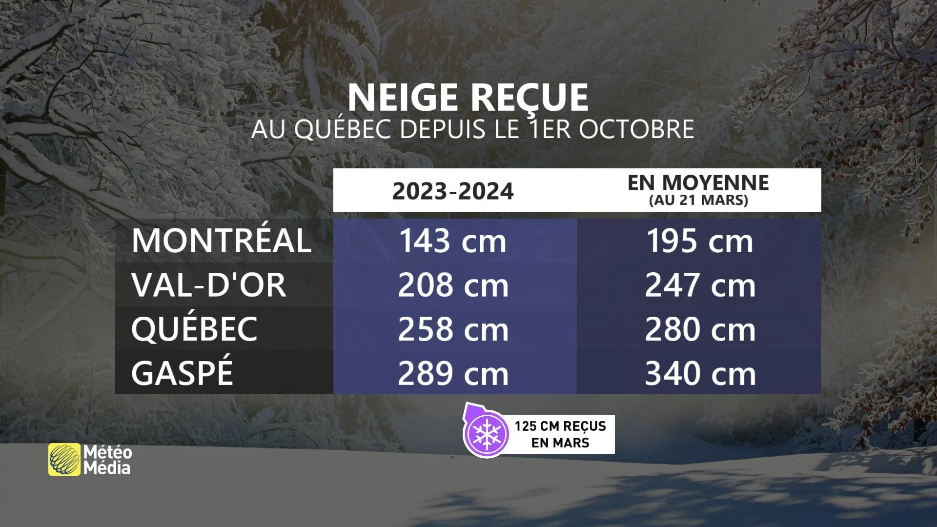NEIGE1 REÇUE
