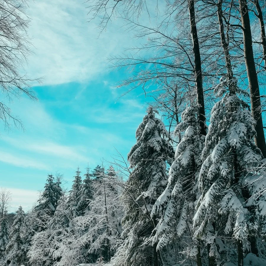 Le mois de mars à l’image d’un hiver sans fin