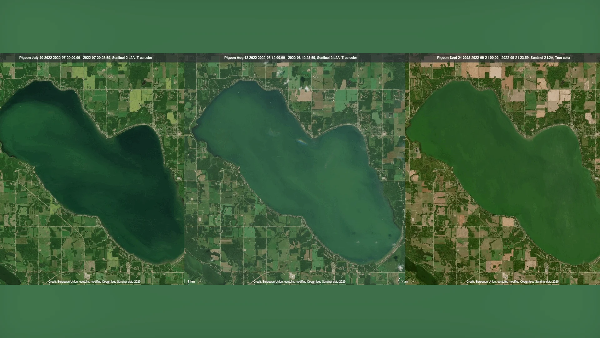 (Rolf Vinebrooke) Blue-green algae satellite imagery