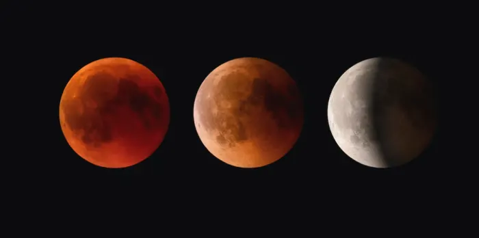 EN IMAGES : L'éclipse lunaire du 8 novembre