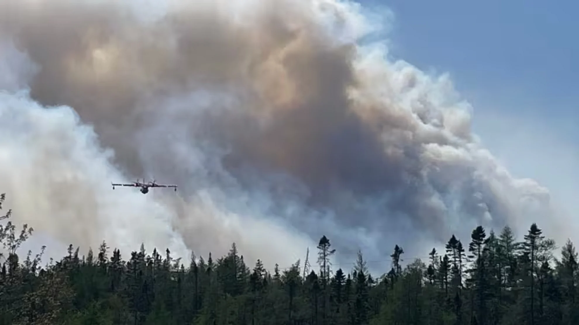Wildfires stop sales of new auto, home insurance policies in N.S.
