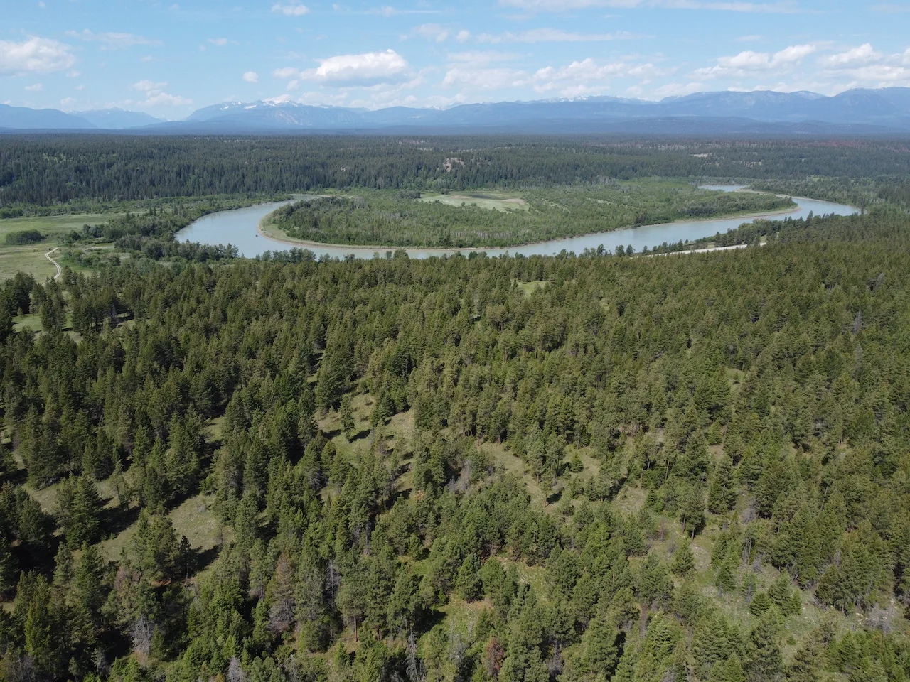 Bummers Flats - MapleCross Benchlands/Michelle Daniel/The Nature Trust of BC/Submitted