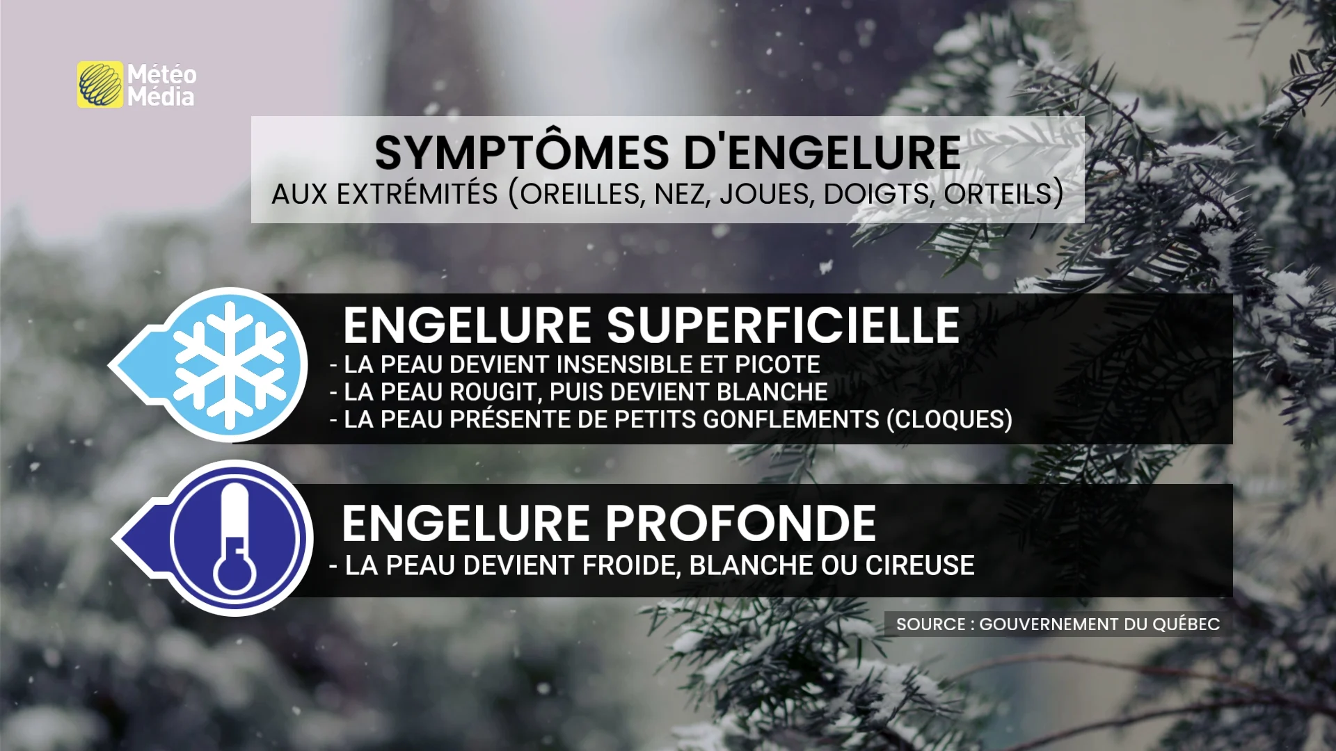 FROID4