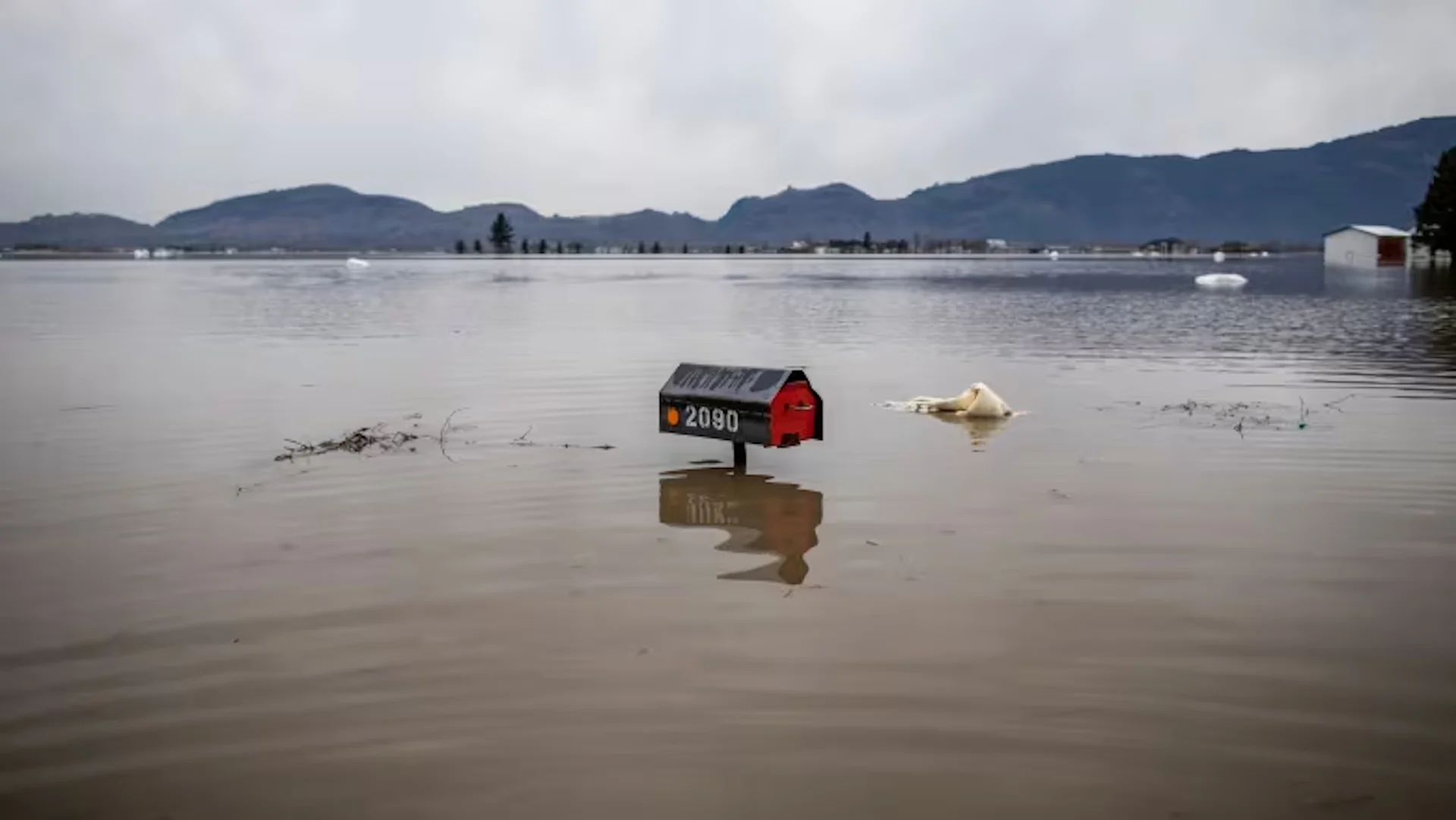 “The lake wants to come back” – some experts think reflooding this community in B.C. may prevent catastrophic floods in the future