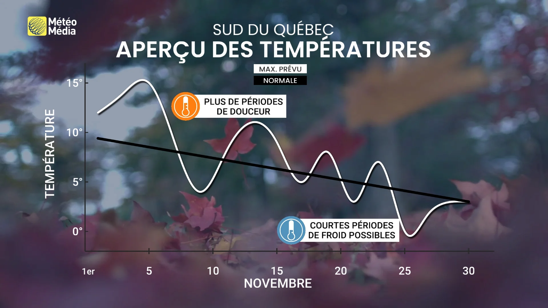 NOVEMBRE2