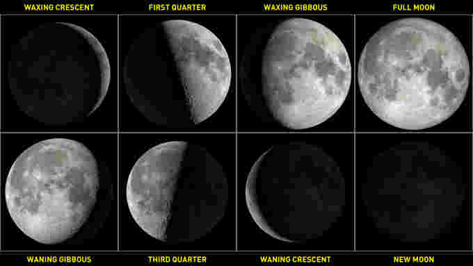 Moon-Phases-August-2022-NASA-SVS