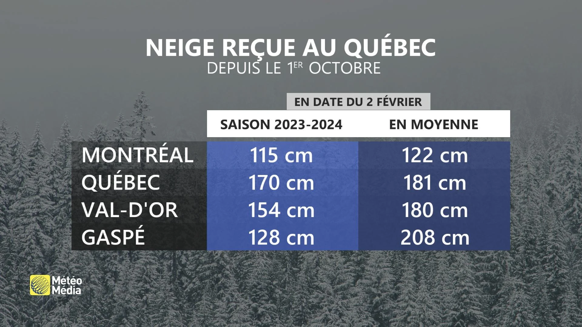 NEIGE2 REÇUE