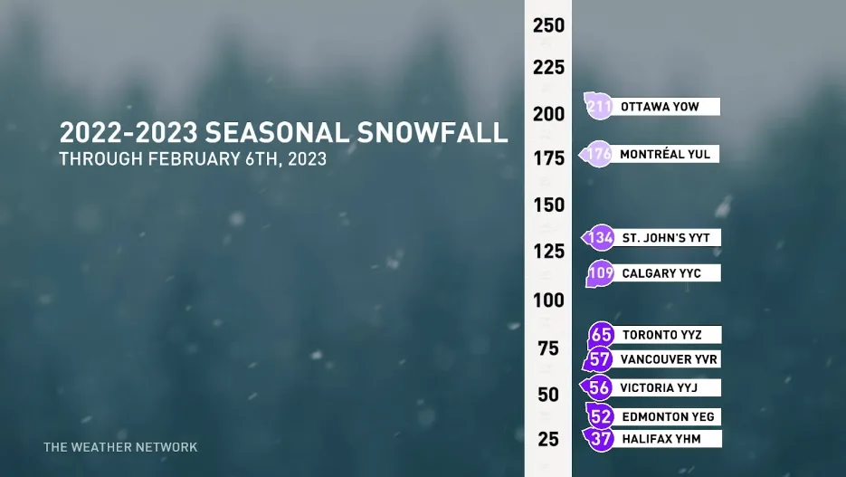 2022-2023 seasonal snowfall graphic February 