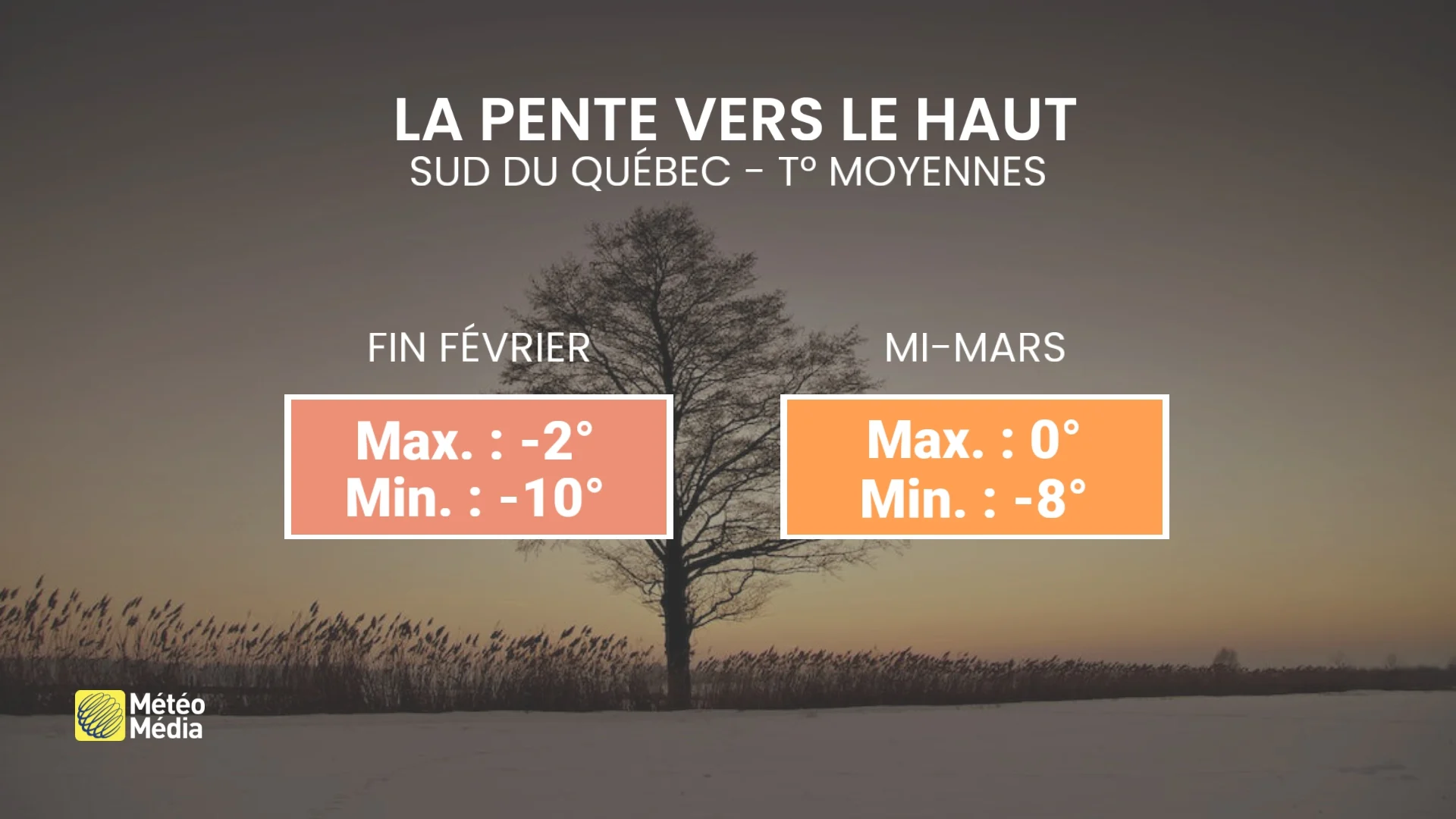 FROID4