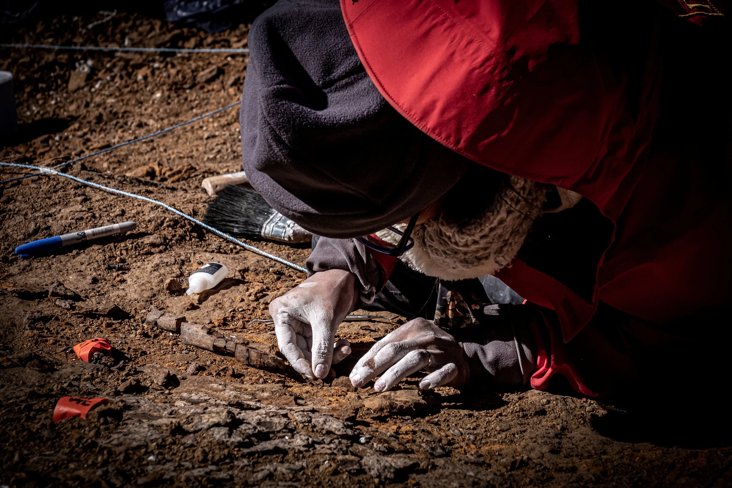 REUTERS: A man works at the area where scientists discovered megaraptor fossils at 'Guido' hill in the Chilean Patagonia area, close to Torres del Paine park, in Magallanes and Antarctic region, Chile in this undated handout photo provided by the Instituto Chileno Antartico on January 16, 2023. Instituto Chileno Antartico/Handout via REUTERS
