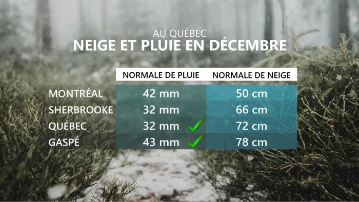 NEIGE1 - NORMALE