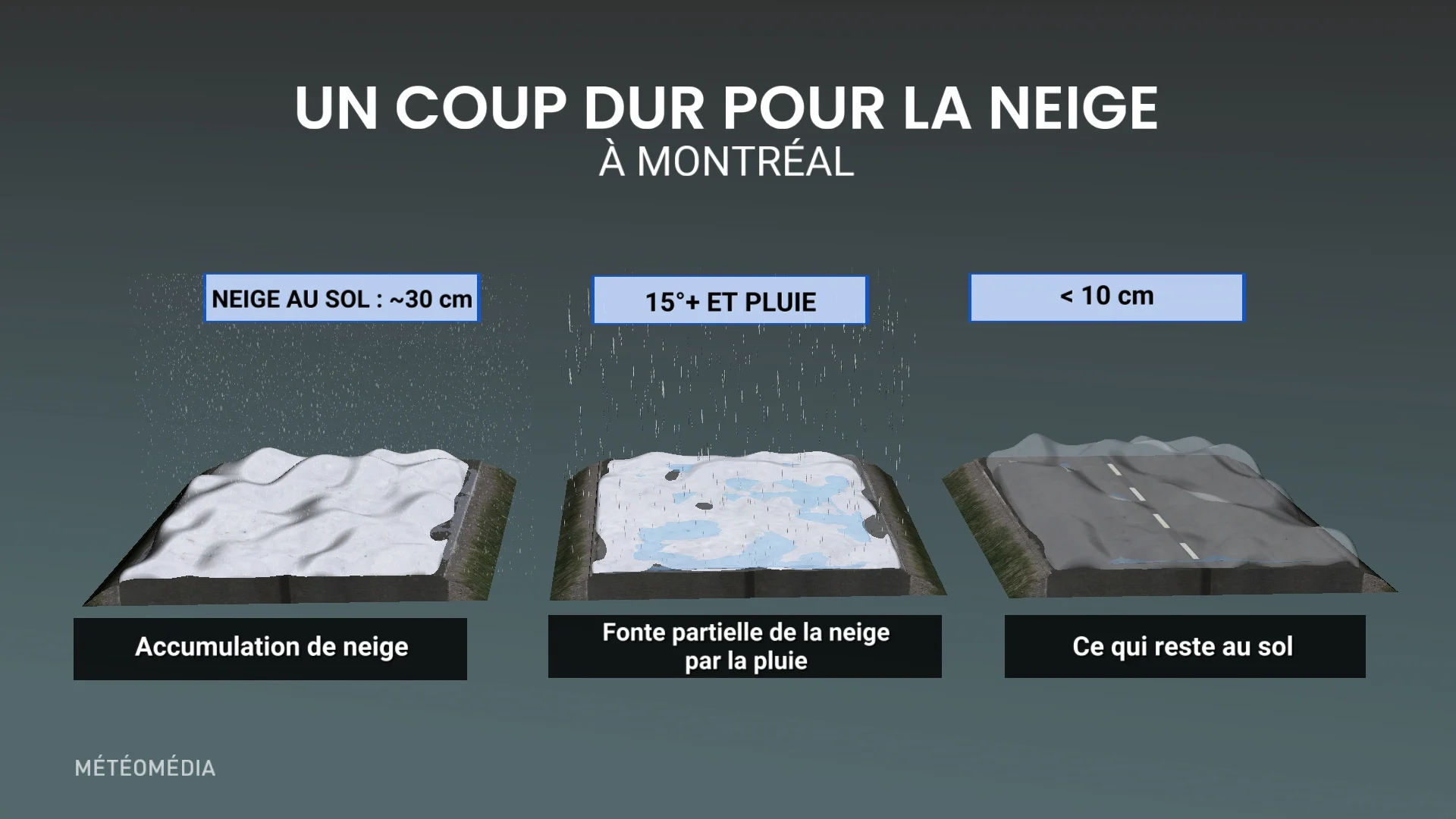 NEIGEREJ1