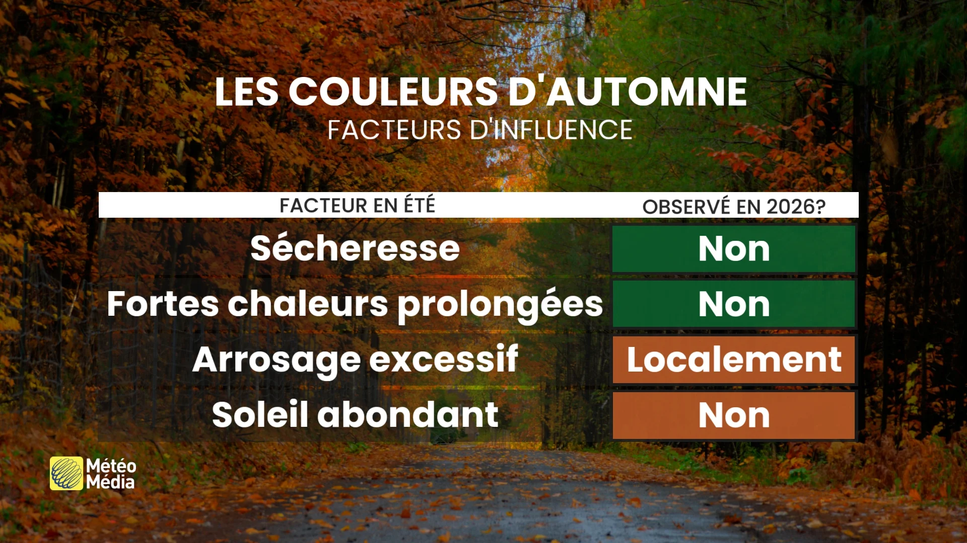 COULEUR1