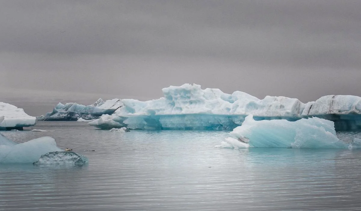 Calotte glaciaire