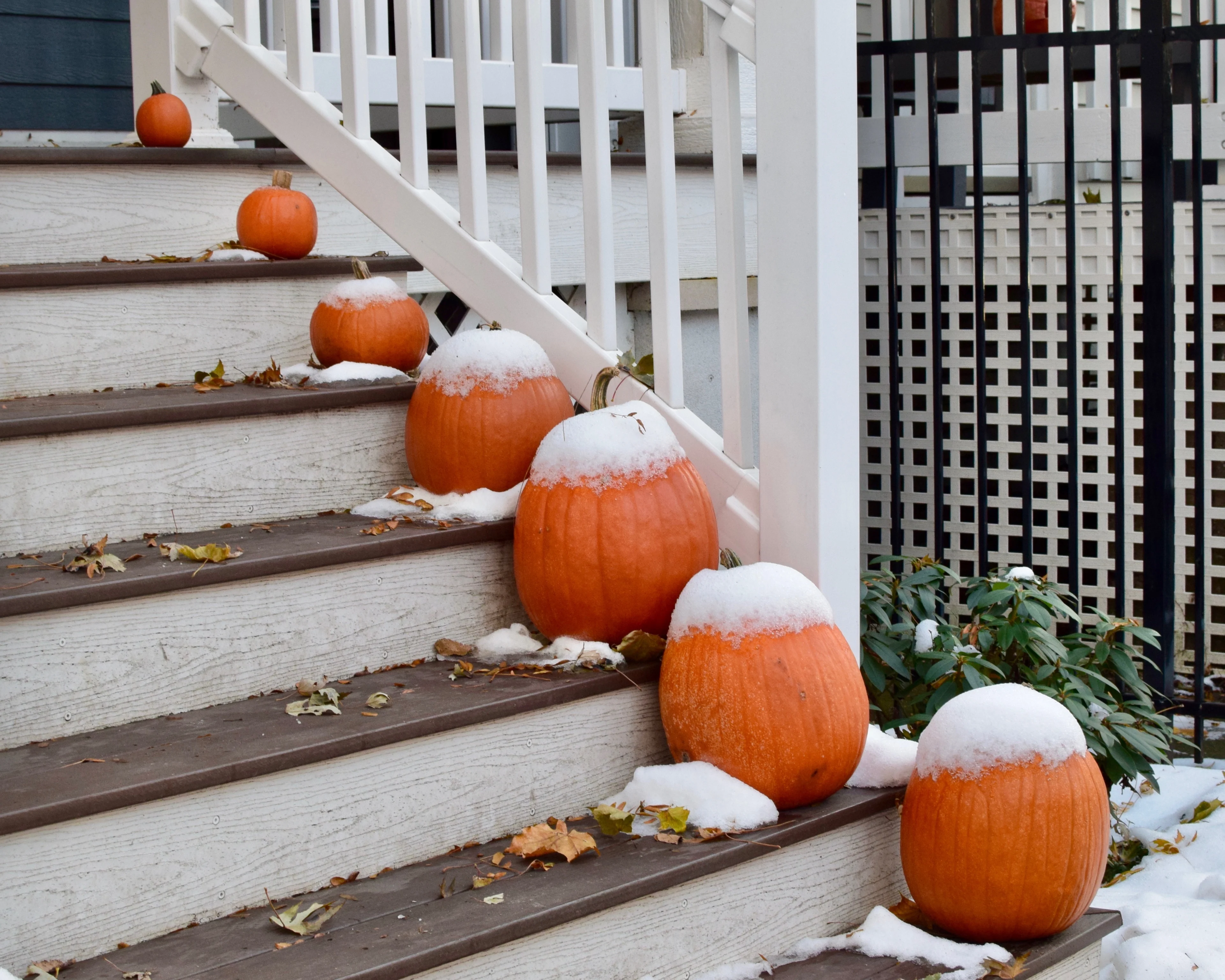 Halloween blanche : quelles sont les chances cette année pour votre secteur?