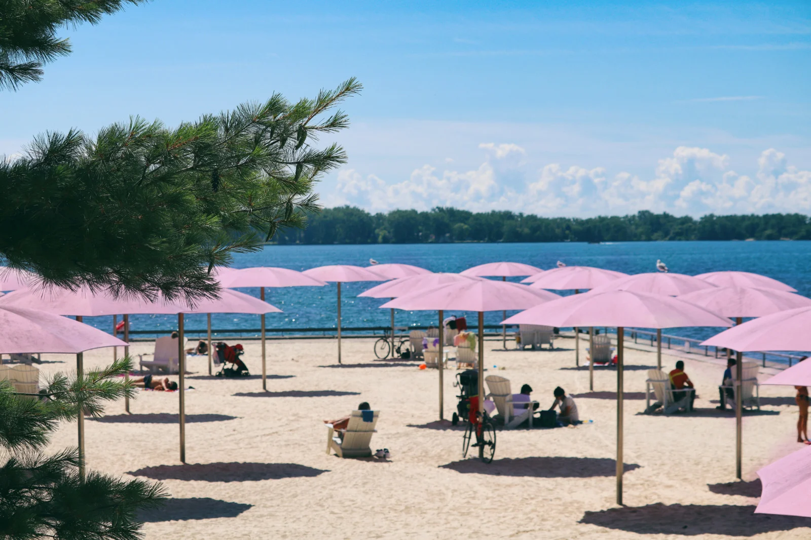 Sunny day at Sugar Beach, Harbourfront, Toronto. (Katrin Ray Shumakov/ Moment/ Getty Images)