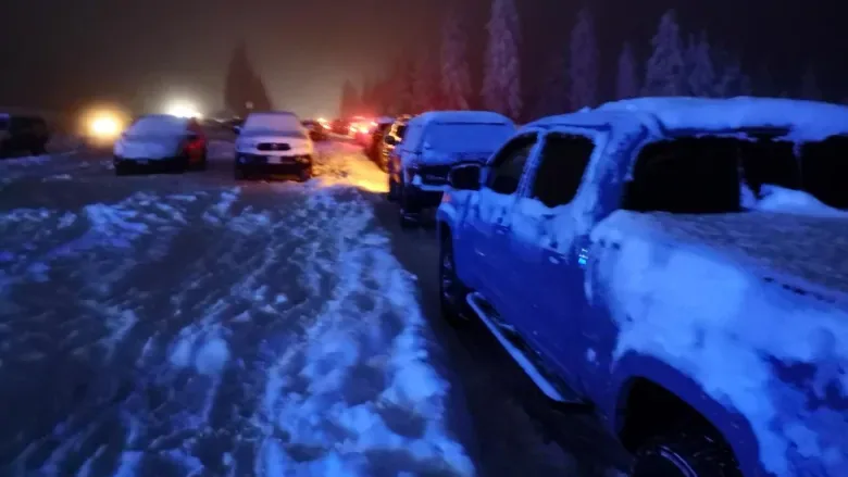 Up to 80 people stuck on Mount Seymour after crash shuts down only access road