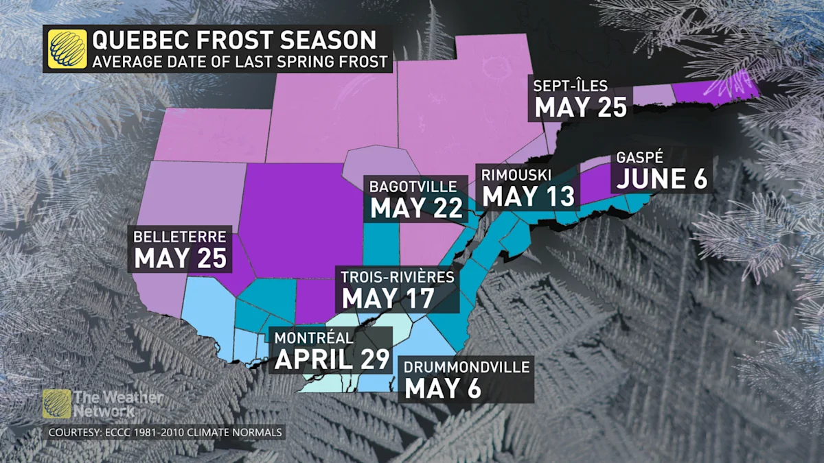 Planters beware: Looming frost threat across Ontario and Quebec - The ...