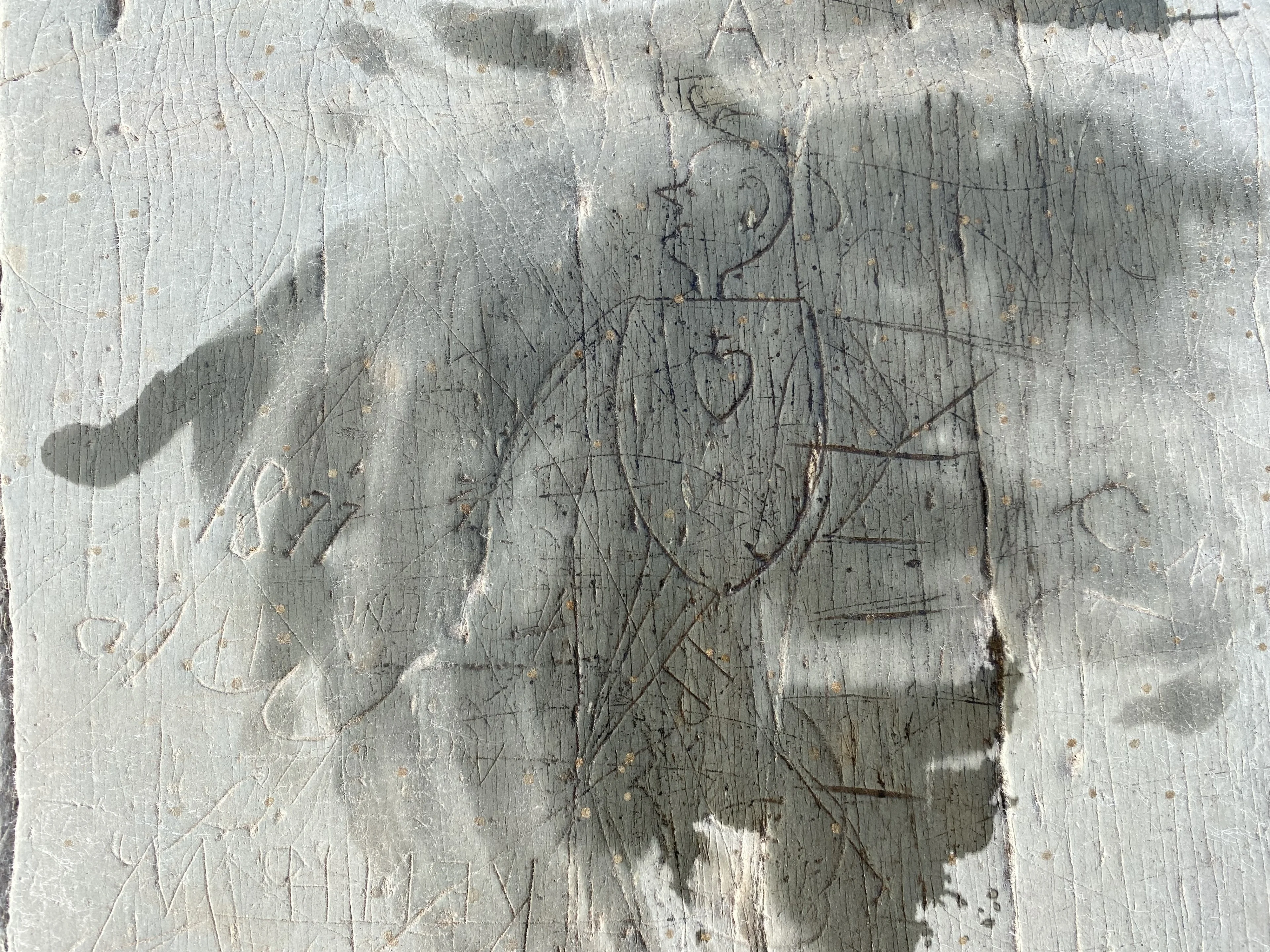 NATHAN COLEMAN: Petroglyph at Kejimkujik historic site. Parks Canada protetects Mi'kmaq cultural landscape