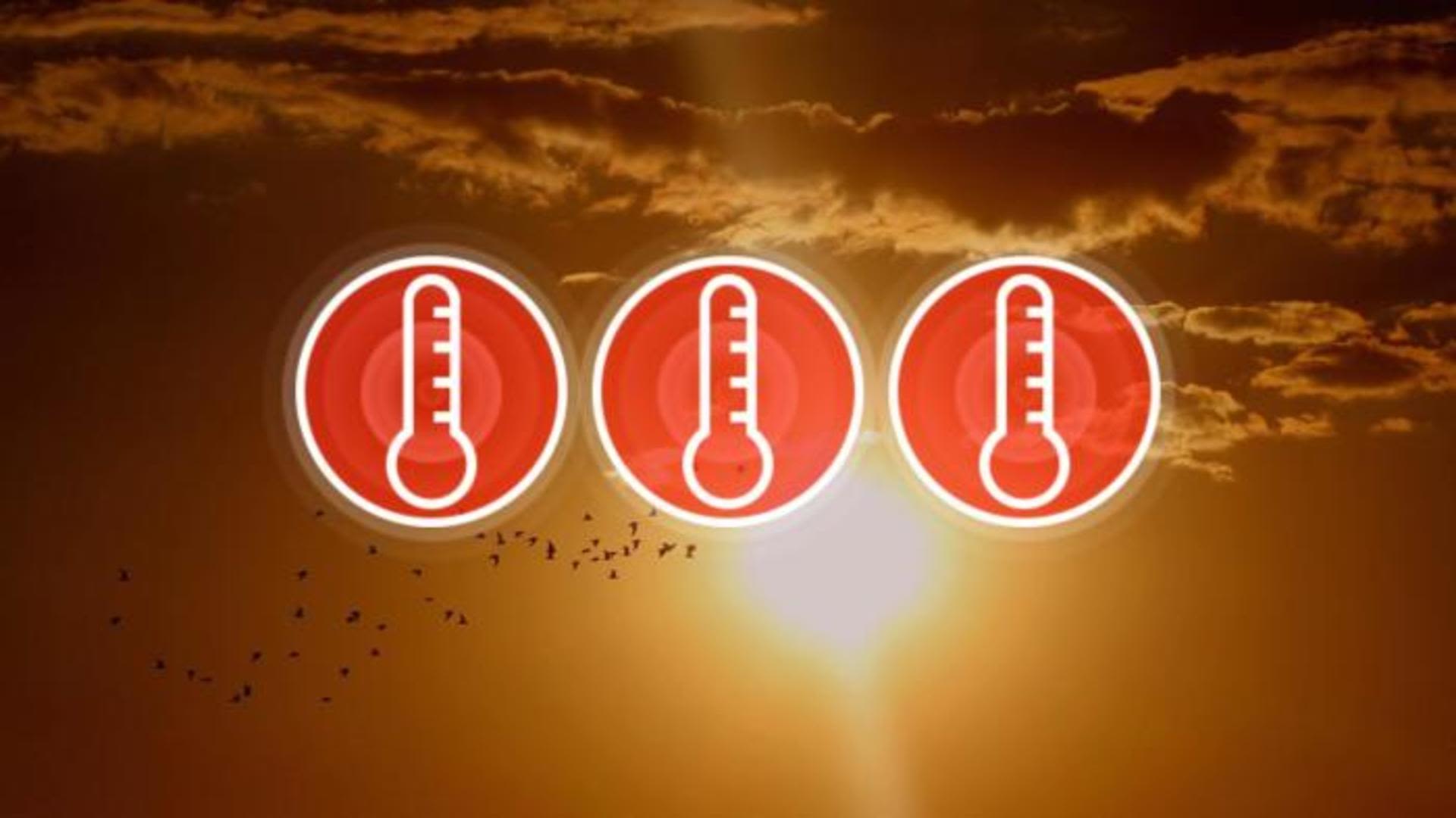 Séquence de chaleur : le Québec plonge vers la canicule - MétéoMédia