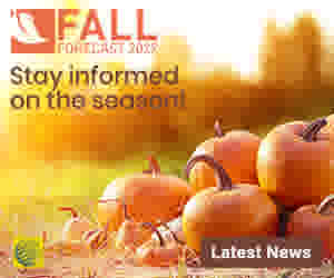 All you need to know about the Fall Season at The Weather Network.