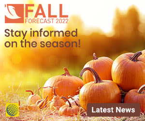 All you need to know about the Fall Season at The Weather Network.