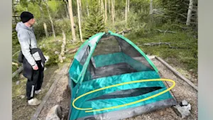  A bear repeatedly rips tents,  triggering closures at a popular national park