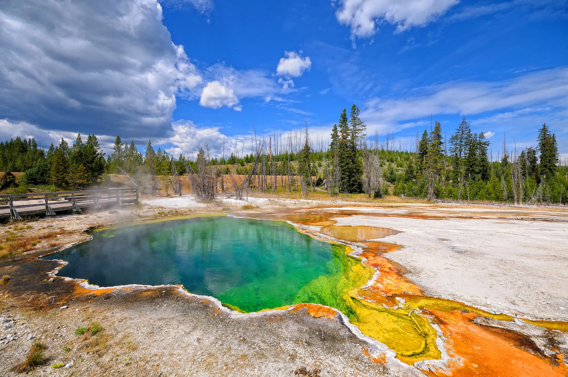 Yellowstone National Park is hotter than ever, scientists say