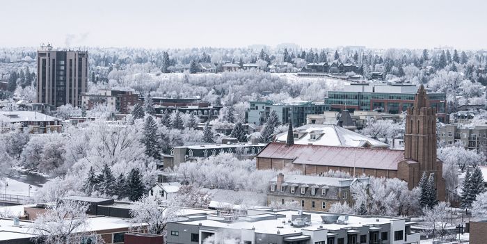 Postcard-worthy rime ice seen in parts of Alberta - The Weather Network