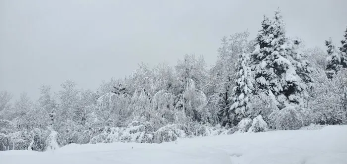 111 cm de neige au sol séparent ces deux villes québécoises