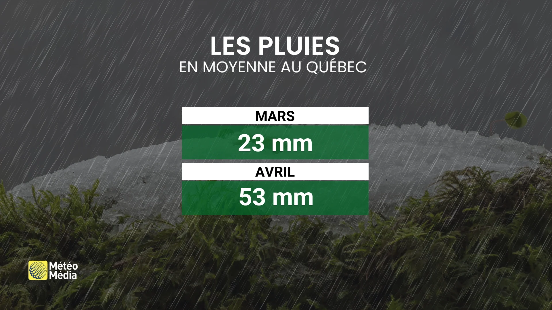 INONDATIONS5