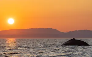 It isn't just Earth's surface air temperatures warming up: Ocean heat set another record in 2025